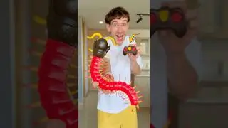 Esto funcionar&aacute;? Pong&aacute;moslo a prueba 😱