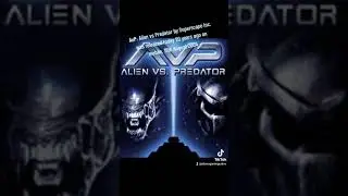 avp mobile