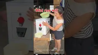 Mini Rice Miller Machine | #rice #milling #machine #shorts #smarthouse