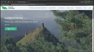 Apply for Your Georgia e-Visa Online (Easy Step-by-Step Tutorial)