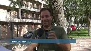 TRATAMIENTO CONTRA GALERUCA DEL OLMO
