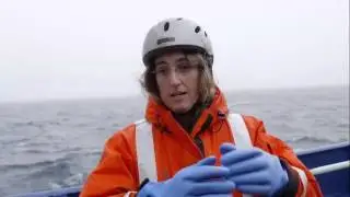 Mooring Deployment