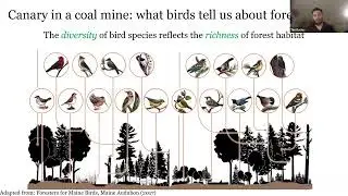 Managing Private Forests for Climate Resiliency and Bird Diversity