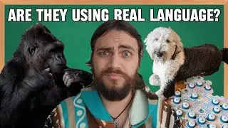 Do dogs really understand talking with buttons?