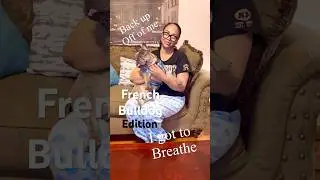 FRENCH BULLDOG HUMOR PLEASE BACK UP OFF OF ME I GOT TO BREATHE TONI BRAXTON SONG #pethumor #frenchie