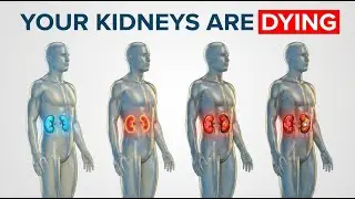 Early Signs of Kidney Disease & How to Prevent It (2026 Guide)