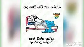 FB funny post