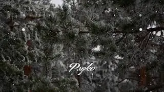 Petit Biscuit - Problems ft. Lido (Psyko Remix)