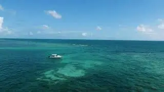 Plan Your Dream Belize Vacation with Zant & Co. | All-Inclusive Travel Made Easy