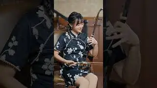 Erhu - The bund of Shanghai (上海滩）