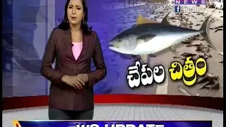 Reason behind Fish rain in Andhra pradesh ll  Fishes Fell from Sky -Part02 - Mahaa Telugu News