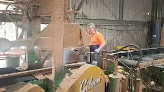AE Gibson & Sons Powerfeed Bench Sawmilling Equipment & Machinery