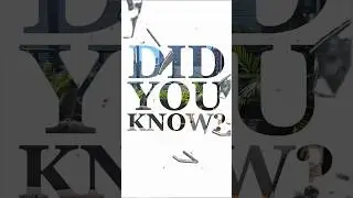 💰 Do You Know You Can Keep Your Low Mortgage Rate & Still Profit? 🏡#PassiveIncome#KeepYourLowRate