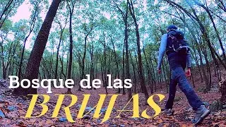 BOSQUE DE LAS BRUJAS - CÓMO LLEGAR?