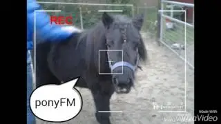 Intro pony FM