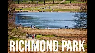 VISIT RICHMOND PARK LONDON 4K 60 fps 🇬🇧 || Borough Of Ricmond Upon Thames ||🦌