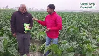 Vimax crop science Ltd Patna Team 