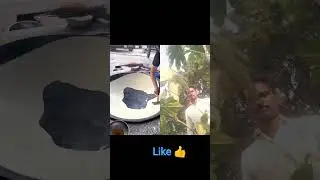#shortsviral #shorts #viral #love #youtube #scene #food #farming #farmlife