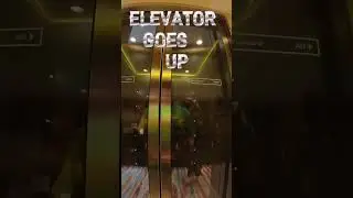CaRNiVAL Mardi Gras🚢:   GLASS Door ELEVATOR