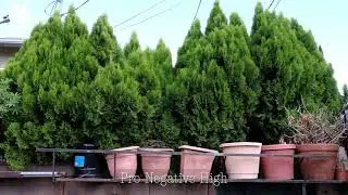 Fujifilm XE-3 Film Simulations (4K)