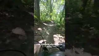 preview of what we will be doing. (ignore the siren and the sorry for the videos shaking a bit)