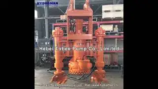 Hydraulica Pump with two side agitators