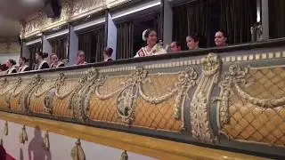 Proclamación Reinas y Damas de Elche 2017