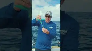 Flying Fish Tips 6 | Assist hook Rigging for Yellowtail Kingfish #flyingfish