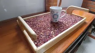 Linda Bandeja com Serragem de Madeiras e Pinus