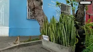 Galería de Arte en Barranco (Lima) - Hay que tener tiempo.