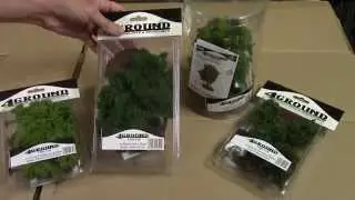 4Ground Deciduous Trees Product Overview