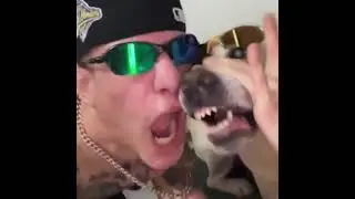 dog beatbox #beatbox #shorts#viral #dog