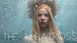 The Albatross (Taylor Swift): Olga & Amleth (The Northman, 2022) #ttpd