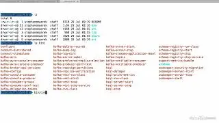 15 Starting Kafka Differently 002 Starting Kafka with the Confluent CLI