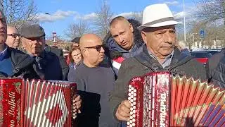 lindo lindo as nossas tradições e concertinas em Barcelos