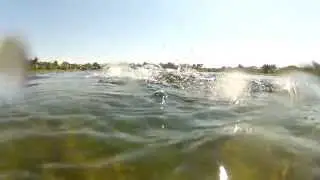 Afternoon crankbaiting