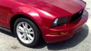 2005 Ford Mustang - Pay Day Auto Sales used cars - Sumter, SC