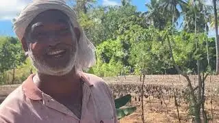ആൻഡമാനിലെ മണ്ണിൽ പൊന്ന് വിളയിക്കുന്ന വിശേഷങ്ങൾ | ബഷീറിന്റെ കൃഷി അനുഭവങ്ങൾ | Andaman Farming & Life