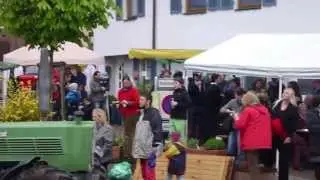 MaiBaum Calw Altburg