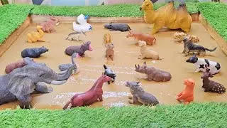 Animal Rescue Quest: A Brave Mission to Save Forest and Zoo Animals!