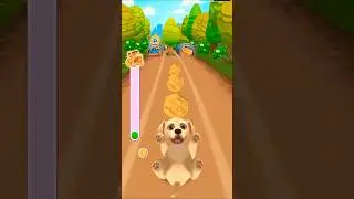 💰 Collect ALL the Coins! | Pet Run Dog Run Gameplay 🐾