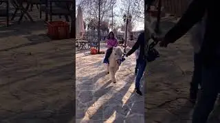 Esila Midilli atı &ccedil;ok sevdi 🥰 #keşfet #horse #komedi #&ccedil;ocukvideoları #kidsvideo #funny #toys