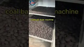 Professional shisha charcoal briquette dryer for hookah dryer for bbq briquettes!#charcoal