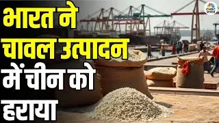 India Beats China in Rice Production: भारत ने चावल उत्पादन में चीन को हराया,IREF प्रमुख का बड़ा बयान