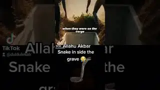 snake in side the grave #shorts