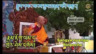 སྒྲུབ་དབང་སངས་རྒྱས་མཉན་པའི་གསུང།རྣམ་རྟོག་ལམ་དུ་ཁྱེར་ཤེས་དགོས། SANGYE NYENPA RINPOCHE 🙏🙏🙏🙏🙏