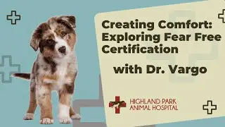 Creating Comfort: Exploring Fear Free Certification with Dr. Vargo