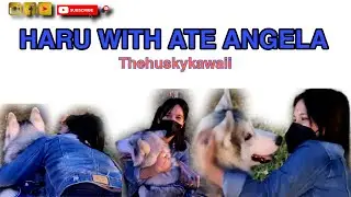 NAGKITANG MULI (ATE ANGELA AT HARU BOI ) ||HUSKY|| ||SIBERIAN||