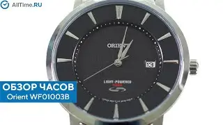 Обзор часов Orient WF01003B. Японские наручные часы. Alltime