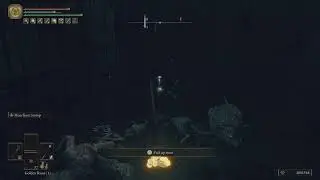 Maxed Out Rune Arcs - ELDEN RING DLC - LevelOne Build